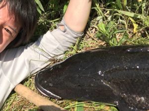 スタッフ関口の雷魚釣行 アウトドアライフストア Wild 1