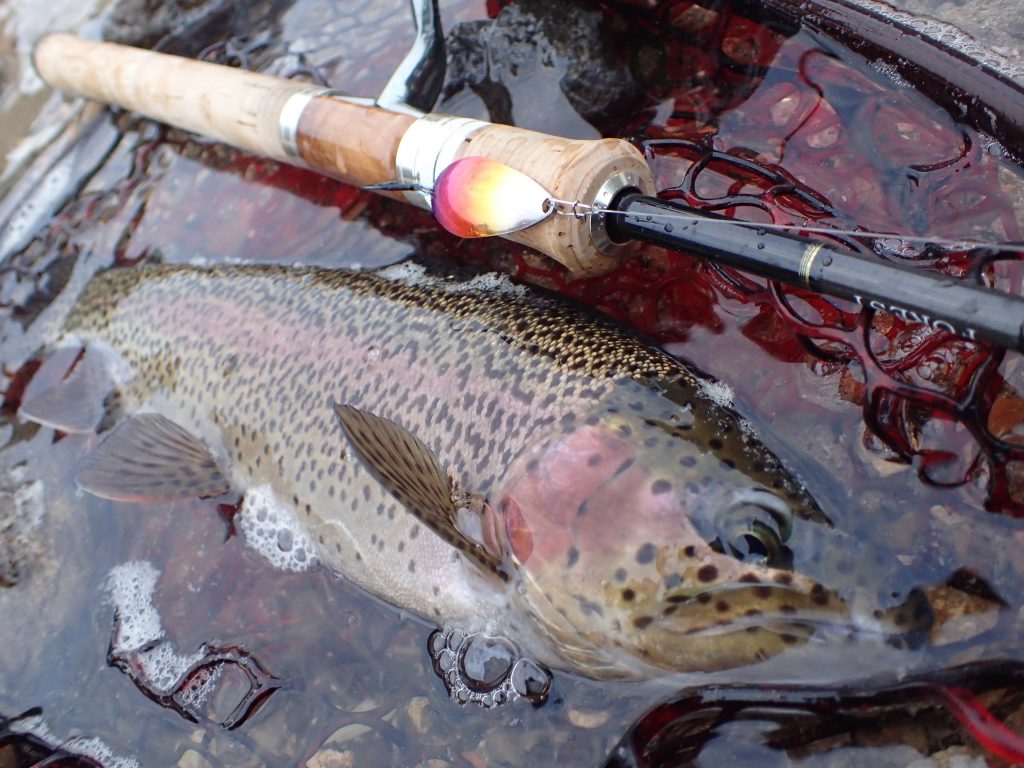 スタッフ釣果情報 10 16丸沼 アウトドアライフストア Wild 1