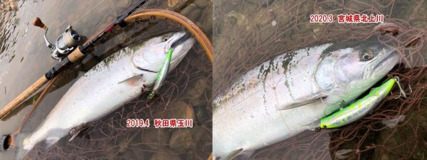 Souls ブルースライドim110 Wild 1仙台別注カラー アウトドアライフストア Wild 1 Souls ブルースライドim110 Wild 1仙台別注カラー アウトドアライフストア Wild 1