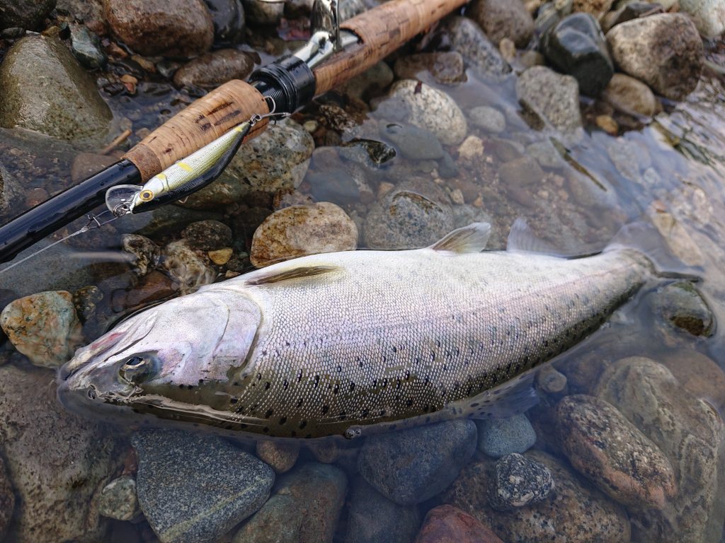 コーカーズ デビルズキャニオン ウェダーブーツ 釣り