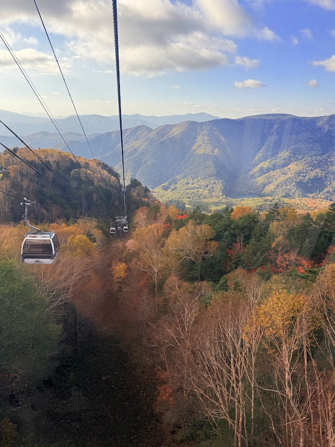 秋の紅葉真っ盛り!