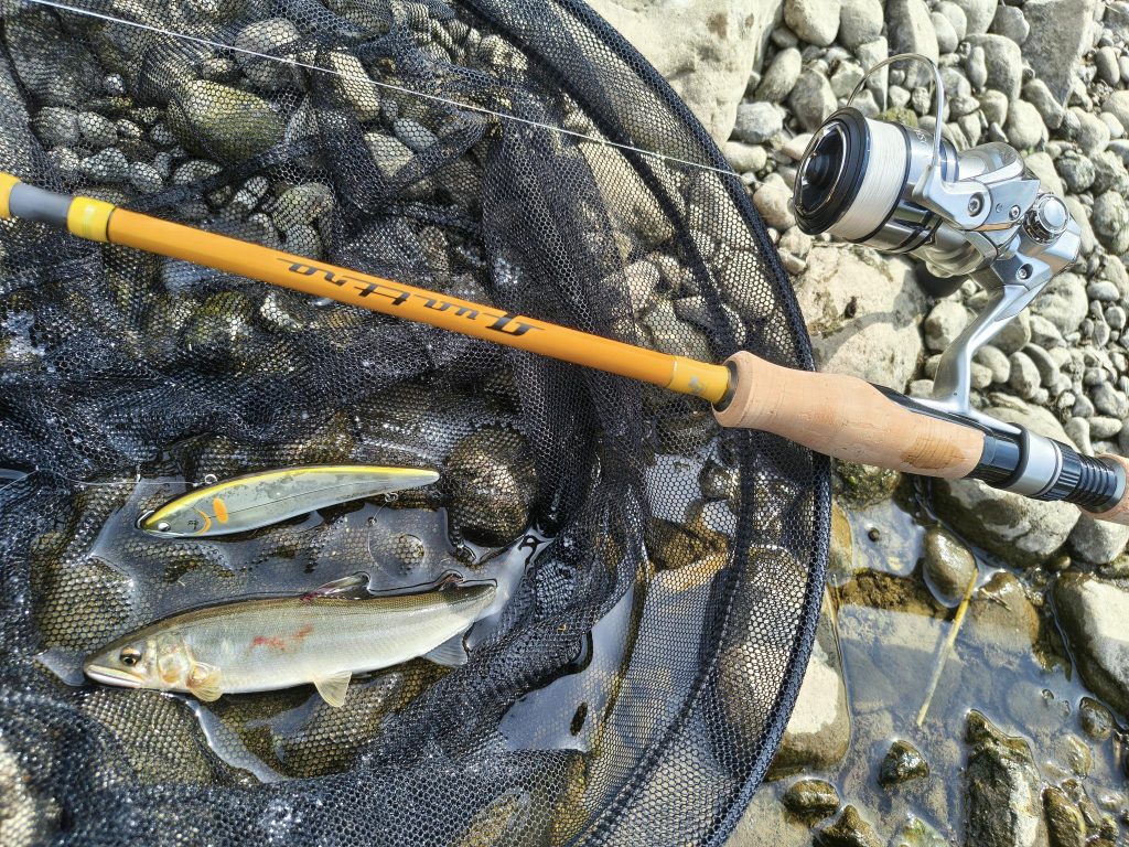 もうすっかり夏色ですねぇ