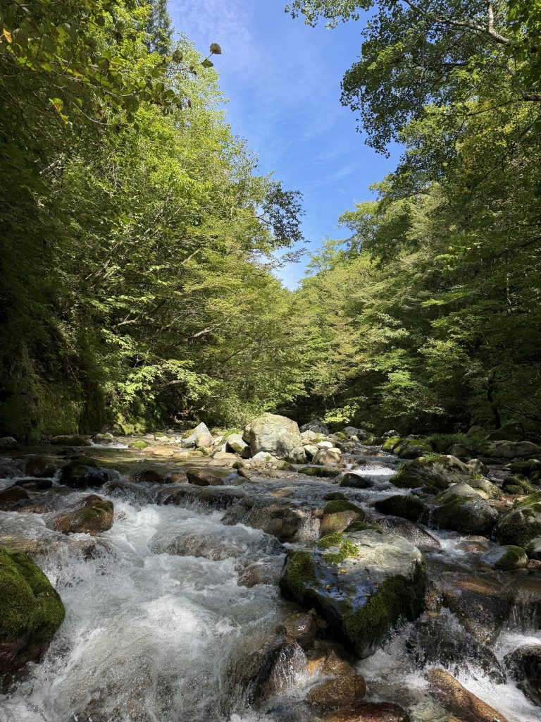 禁漁間際 秋の源流泊釣行