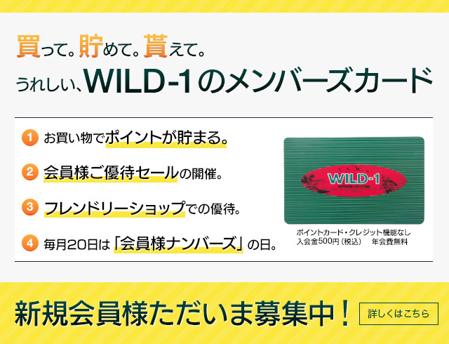 正規品好評 0601-1817 ワイルドワン WILD 1.25インチ ハンドルバー アウトロー エイプ 14インチ 黒 JP店 ヒロチー商事  通販 PayPayモール