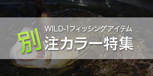 アウトドアライフストア Wild 1